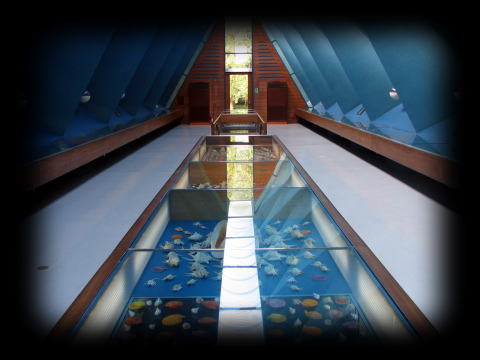 �QF �t���A